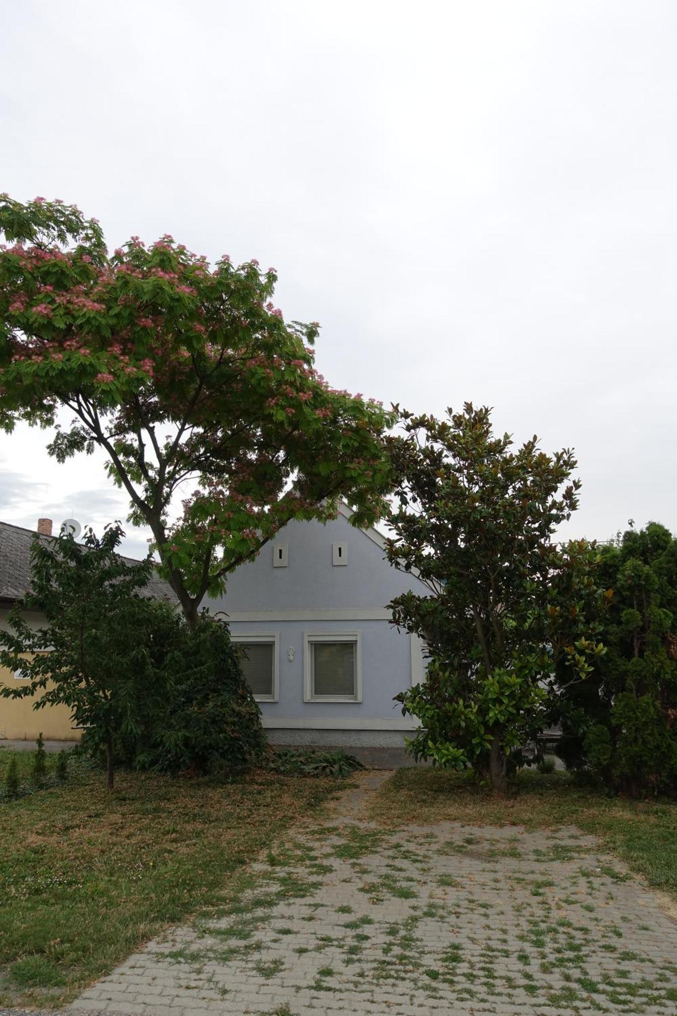 Alla Kittsee Luaran gambar